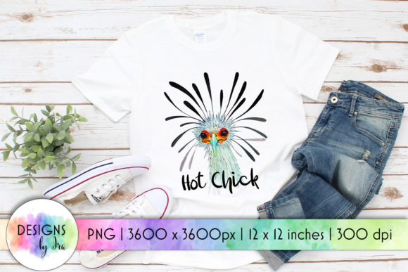 Review: Hot Chick Secretary Bird Funny Bird